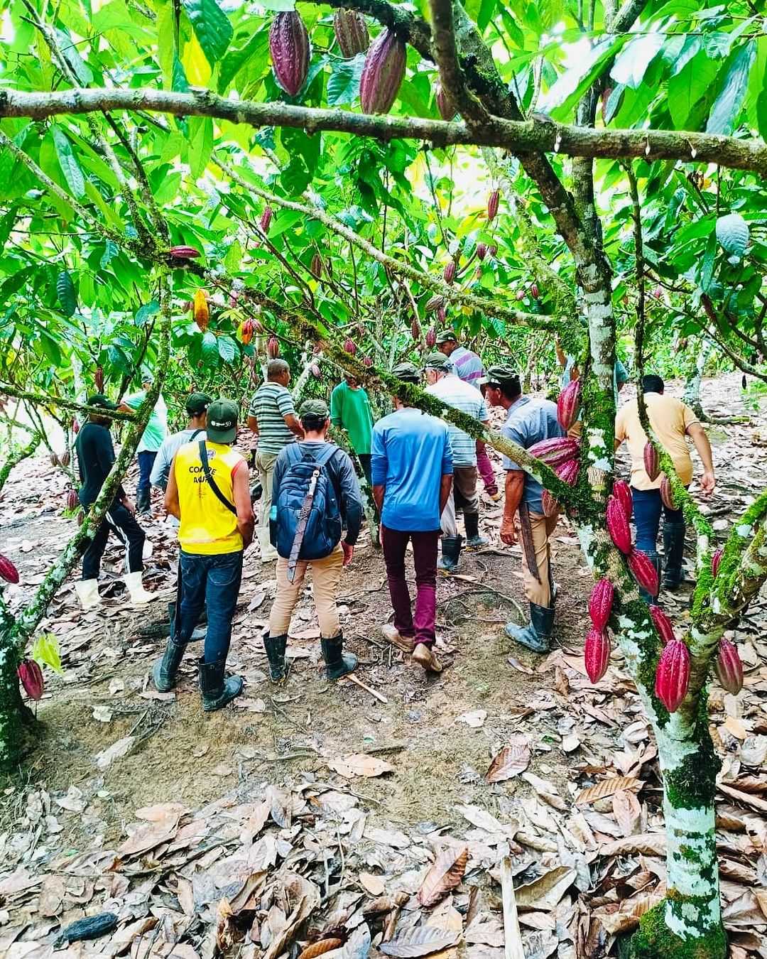 Camacã: Em parceria com o SENAR, Secretaria de Agricultura realiza dia de visita e conclui mais um curso para os agricultores
